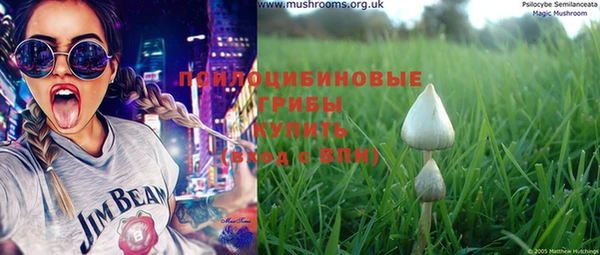 винт Аркадак