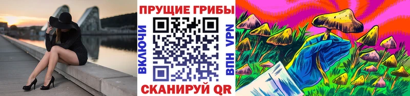 Псилоцибиновые грибы GOLDEN TEACHER  Аркадак 